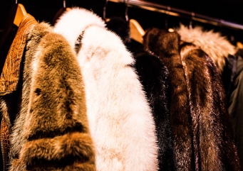 Уход за шубой в зимний период: как сохранить красоту меха