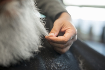 Как почистить дубленку и мех на ней